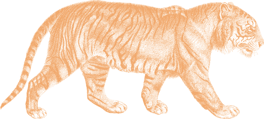 Arkansas SE Collective tiger logo